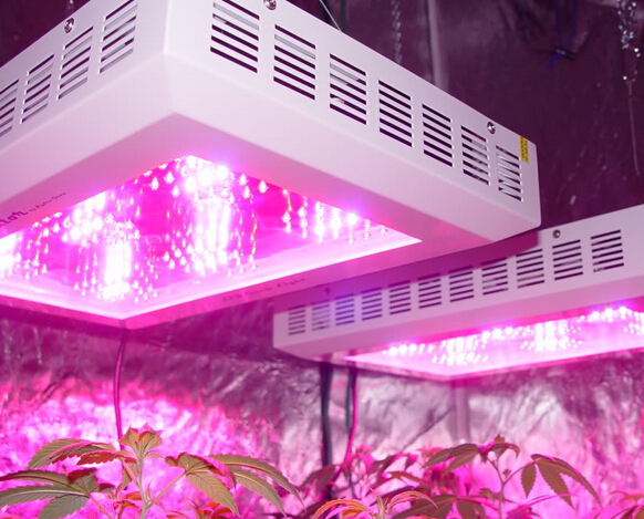 LED special lighting has great potential 